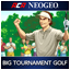 ACA NEOGEO BIG TOURNAMENT GOLF