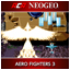 AERO FIGHTERS 3