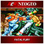 FATAL FURY