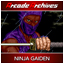 NINJA GAIDEN